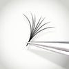 Jovisa Royal 6D 0.05 Lashes Black D mix