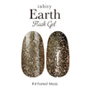 Flash Gel Earth Tone Shiny Gel Color | inbity Petit Price 3g