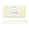 Apres Bare Gel-X Sculpted Tips Box (280pcs)