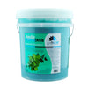 Jojoba Pedi Gel Scrub Lavander/Orange Tangerine | La Palm