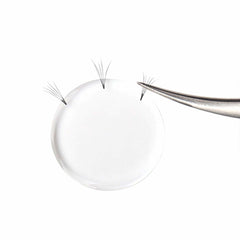 [generic] Eyelash Volume Fans Assistant Silicone