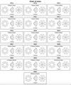 [Swarovski] 1088 Point Back Crystal Powder Rose (L103) (variated sizes)