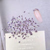 Flat Back Mini Shapes / Colors Nail Decors Arts Crystal（2-4mm/50pcs around）