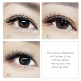 Jovisa 6D Soft Clover Lashes | Premade