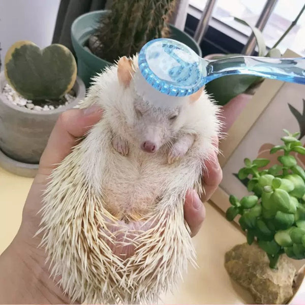 Nail Dust Brush with Cap Soft Durable Pet Shampoo Brush