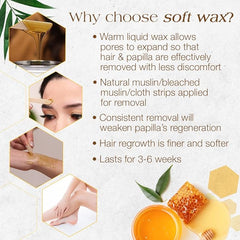 GIGI All Purpose Honee Wax 14-Ounce