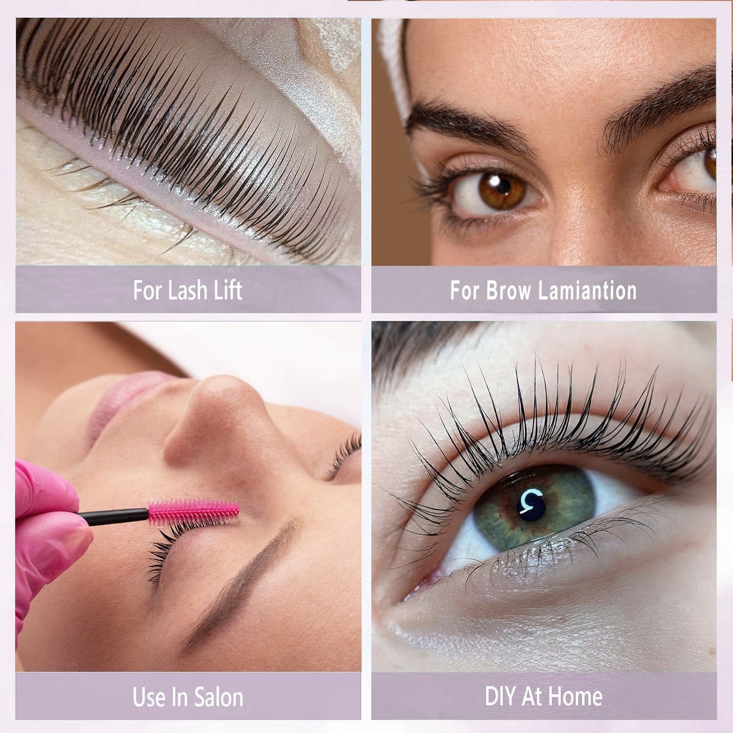 [Present] Perm Lash Glue (5ml)