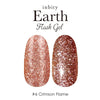 Flash Gel Earth Tone Shiny Gel Color | inbity Petit Price 3g