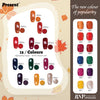 [Present] Autumn Collection
