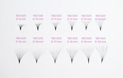 [Generic] Premade eyelash fans（500 fans/box）16D-0.03-D Curl