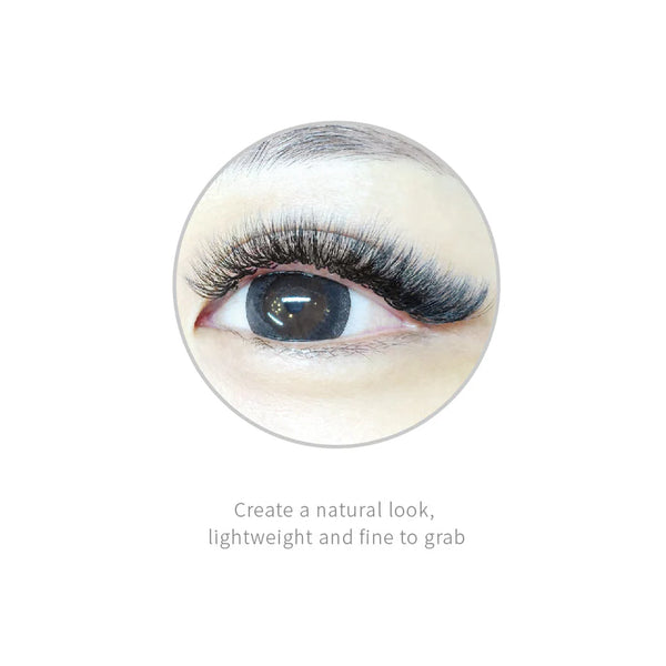 Jovisa Royal 6D 0.05 Lashes Black D mix
