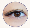 JOVISA Lunar Whisper YY Lashes 0.07