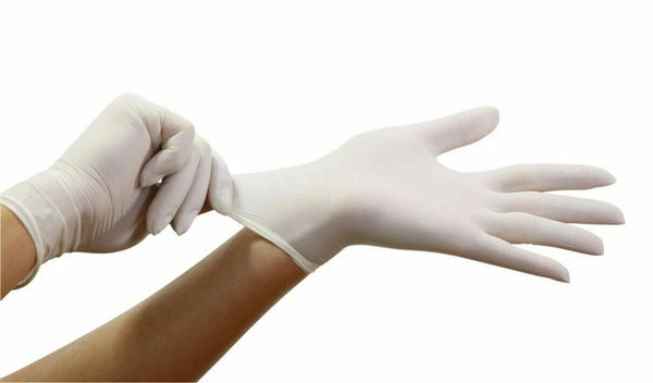 Shamrock Powder Free Examination Latex Gloves 100 PCS