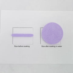 Professional Compressed Facial Sponges for Estheticians - Unscented Facial Cleanser