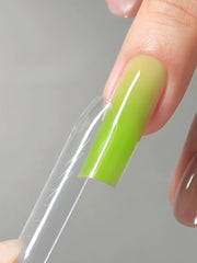 [MR NAIL] Sandwich Poly Gel Dual Forms Extension Nail Tips Without Paper Holder(Bottom 120pcs+Top 120pcs) W557