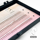 [BNP] Premade volume lash （short stem）