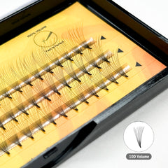 [BNP] Premade volume lash （Dramatic 10D style）