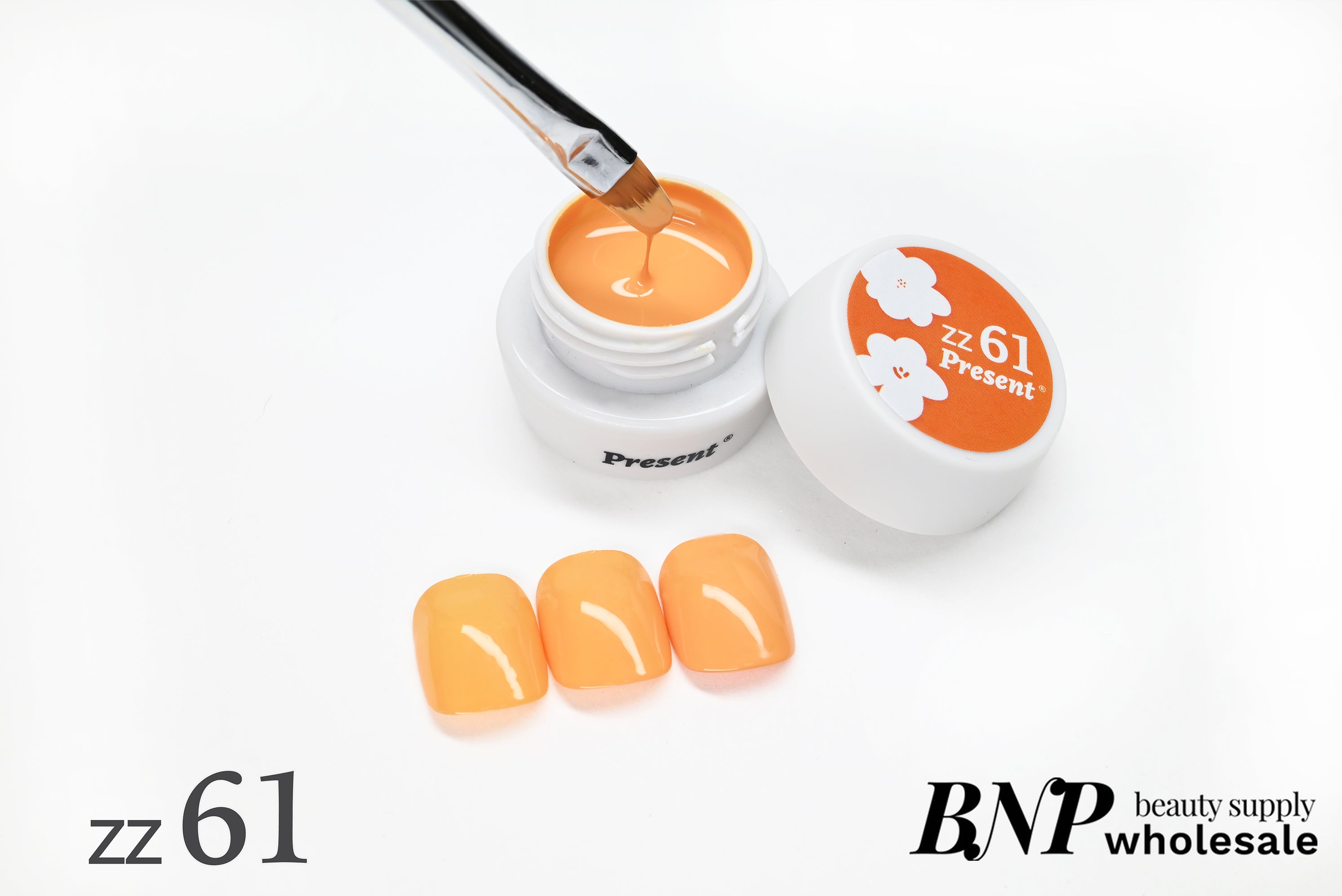 [Present] ZZ Series Color Gel( ZZ55～ZZ69 )