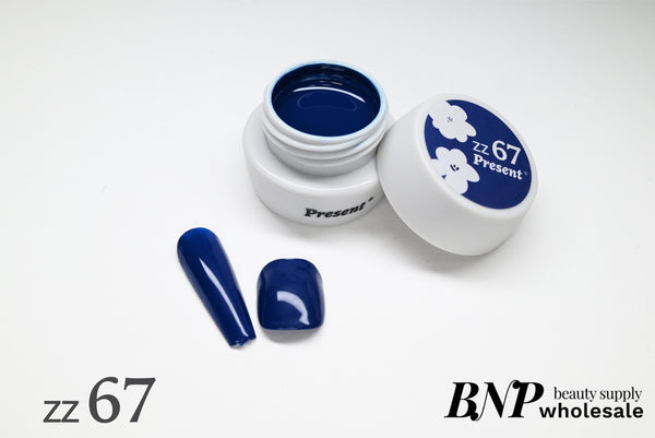 [Present] ZZ Series Color Gel( ZZ55～ZZ69 )